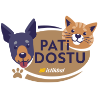 Pati Dostu Kumaş